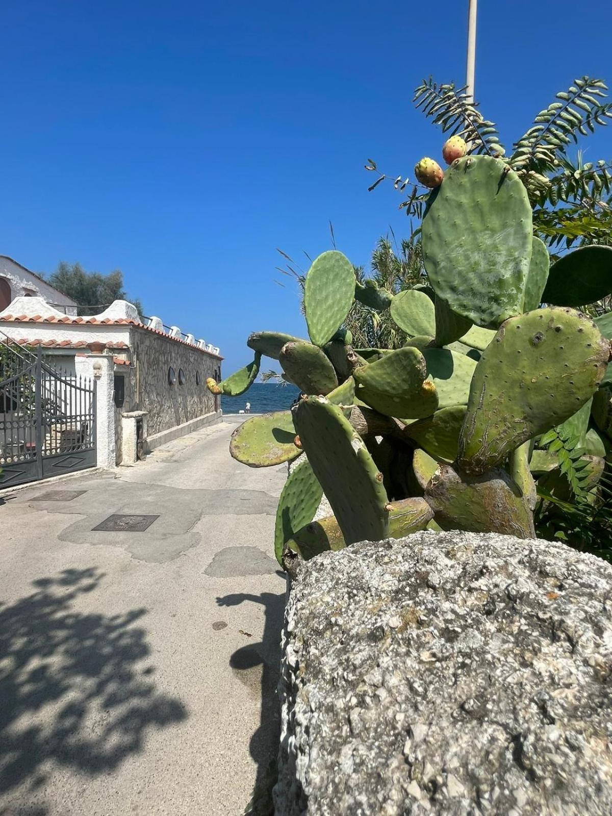 La Villetta Sul Mare Bari Eksteriør bilde